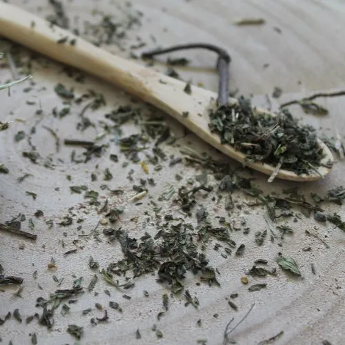 Mäta klasnatá - vňať narezaná - Mentha spicata - Folium menthae Emerosa 50 g
