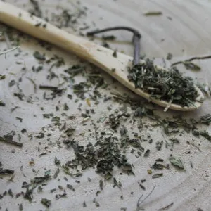 Mäta klasnatá - vňať narezaná - Mentha spicata - Folium menthae Emerosa 50 g