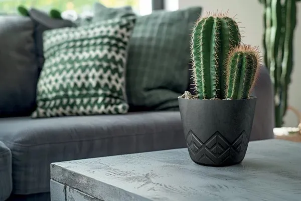 Prosperplast Kvetináč ARECA sivý betón, variant 29,5 cm