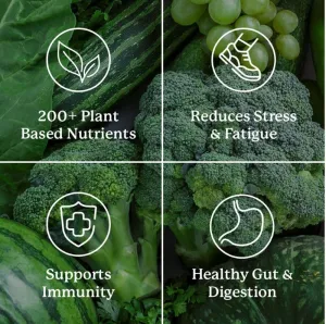 Nature's Sunshine Power Greens 450 g