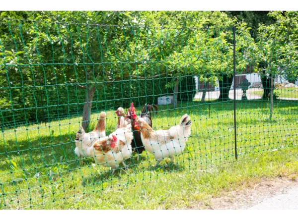 Nevodivá sieť pre hydinu KERBL 292276, 106 cm x 50 m / 1 hrot
