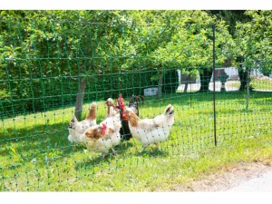 Nevodivá sieť pre hydinu KERBL 292276, 106 cm x 50 m / 1 hrot