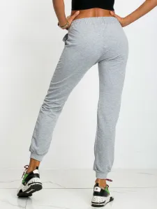 Sweatpants-RV-DR-5040.08X-gray