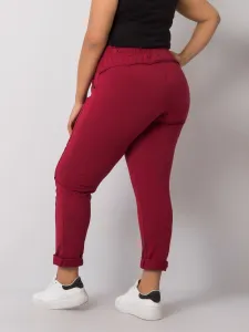 Sweatpants-RV-DR-6300.19-burgundy