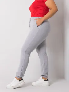 Sweatpants-RV-DR-6301.88-gray