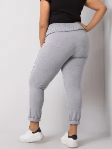 Sweatpants-RV-DR-6300.19-gray