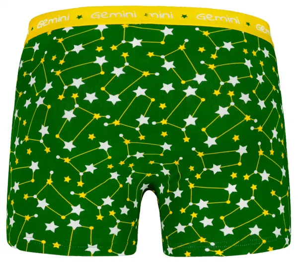 Pánske boxerky Frogies Zodiac Blíženci