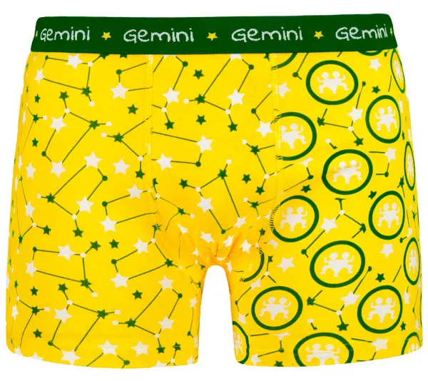 Pánske boxerky Frogies Zodiac Blíženci