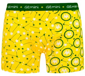 Pánske boxerky Frogies Zodiac Blíženci