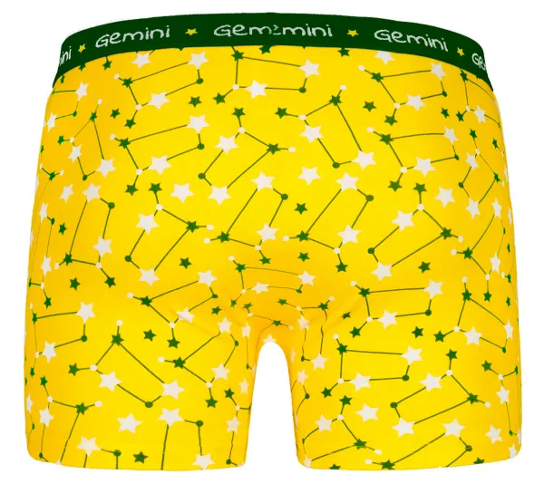 Pánske boxerky Frogies Zodiac Blíženci