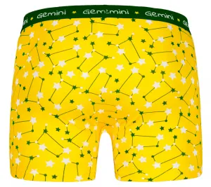 Pánske boxerky Frogies Zodiac Blíženci