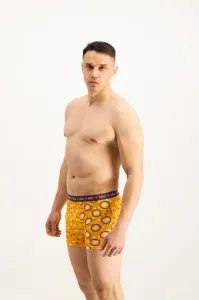 Pánske boxerky Frogies Zodiac Lev