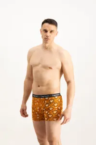 Pánske boxerky Frogies Zodiac Kozorožec
