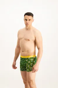 Pánske boxerky Frogies Zodiac Blíženci