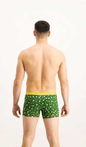 Pánske boxerky Frogies Zodiac Blíženci