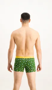 Pánske boxerky Frogies Zodiac Blíženci