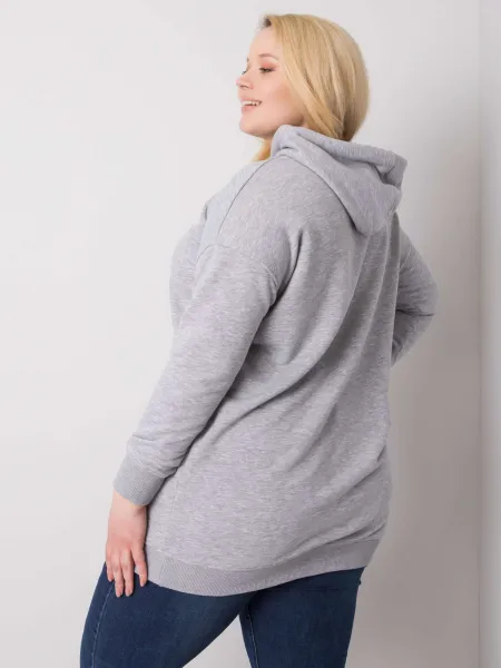 Sweatshirt-RV-BL-6338.19X-gray