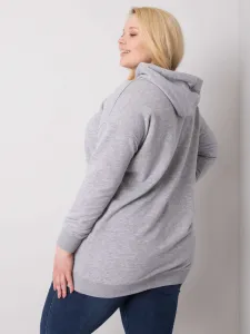 Sweatshirt-RV-BL-6338.19X-gray