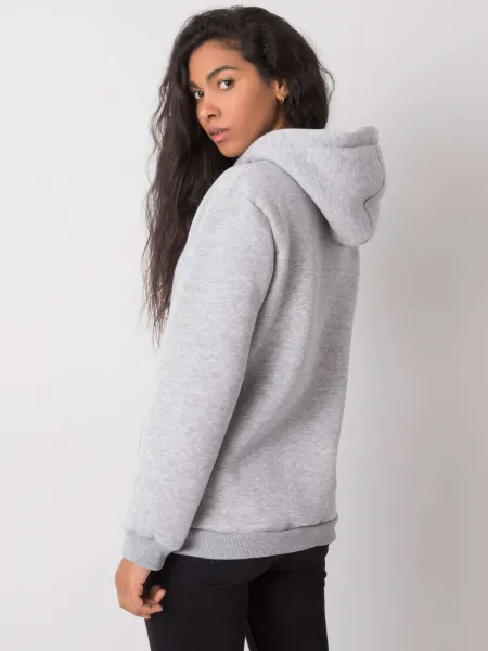 Sweatshirt-RV-BL-6672.99-gray