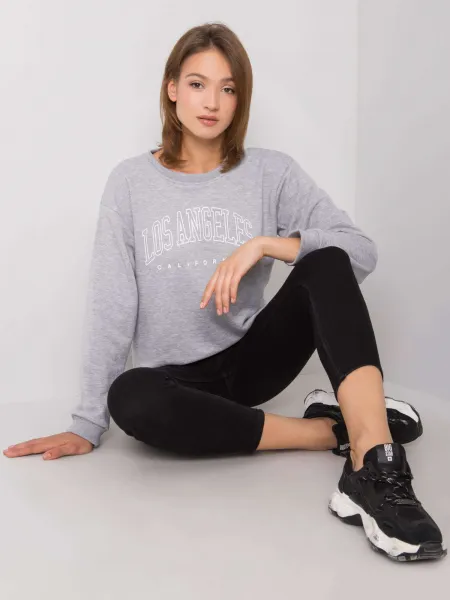 Sweatshirt-RV-BL-6669.10-gray