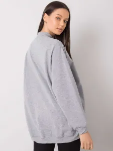 Sweatshirt-RV-BL-6671.75P-gray