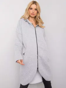 Sweatshirt-RV-BL-4858-1.99P-gray