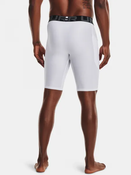 Pánske kraťasy Under Armour