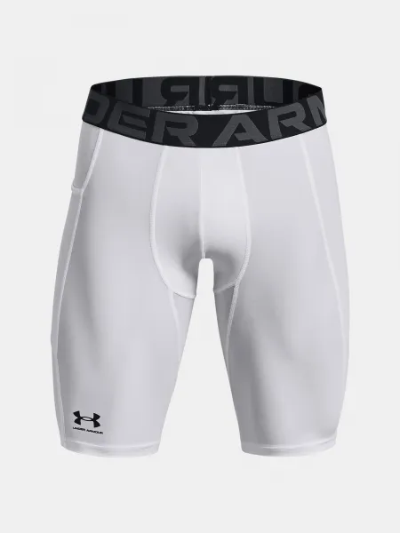 Pánske kraťasy Under Armour