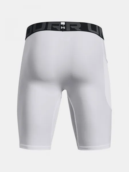 Pánske kraťasy Under Armour