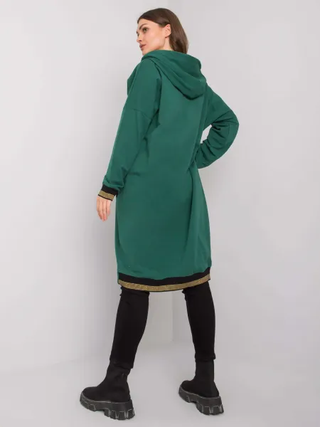 Sweatshirt-RV-BL-6791.48-dark green