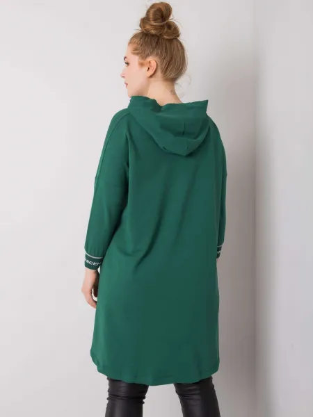 Sweatshirt-RV-BL-6849.63P-dark green