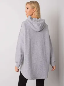 Sweatshirt-RV-BL-7096.37P-gray