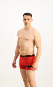 Pánske boxerky Batman 1P - Frogies