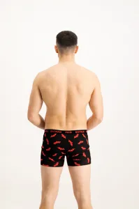 Pánske boxerky Batman 1P - Frogies