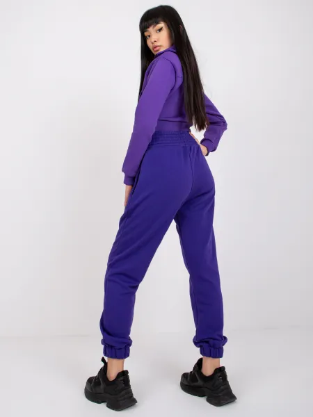 Sweatpants-RV-DR-7460.11-dark purple
