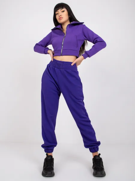 Sweatpants-RV-DR-7460.11-dark purple