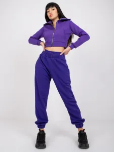 Sweatpants-RV-DR-7460.11-dark purple