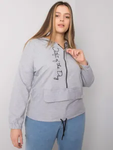 Sweatshirt-RV-BL-7179.27-gray