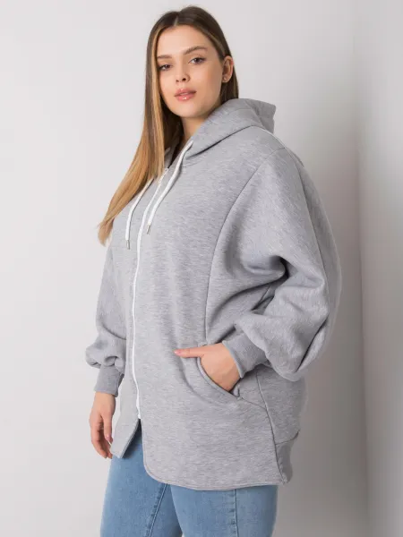 Sweatshirt-RV-BL-7282.22P-grey