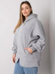 Sweatshirt-RV-BL-7282.22P-grey