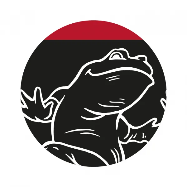 Ponožky Frogies Regular