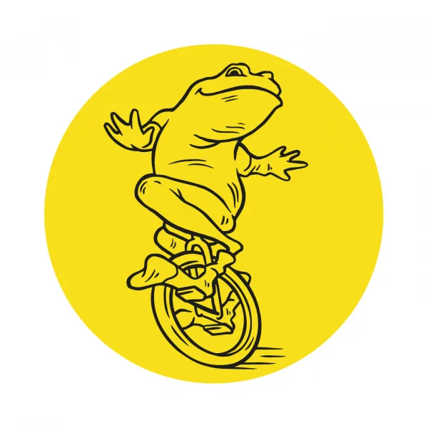 Pánske boxerky Frogies Logo