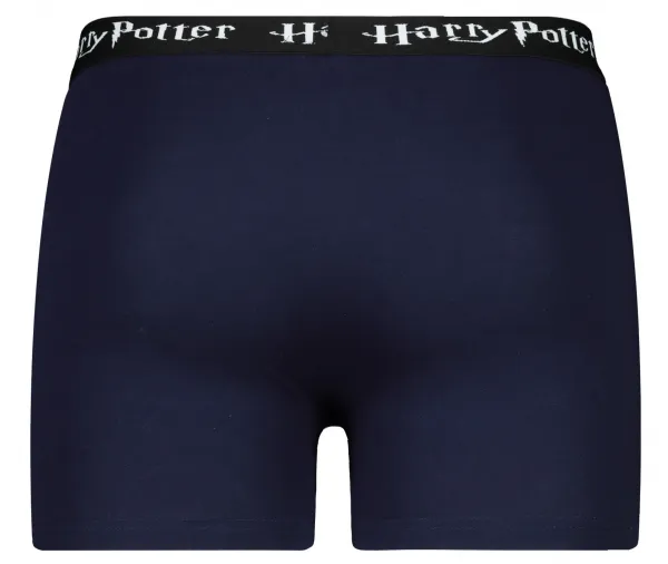 Pánske boxerky Harry Potter - Frogies
