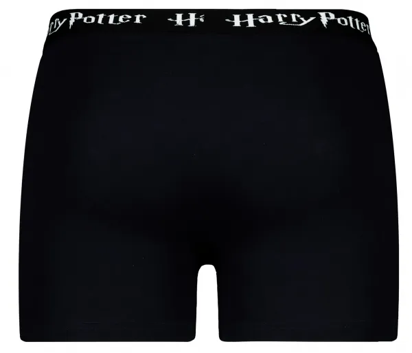 Pánske boxerky Harry Potter - Frogies