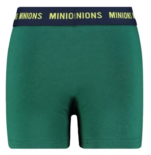 Chlapčenské boxerky Licensed