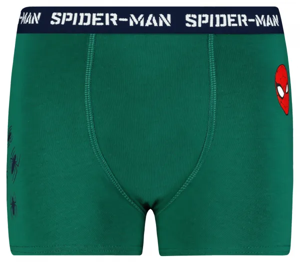 Chlapčenské boxerky Licensed