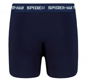 Chlapčenské boxerky Licensed