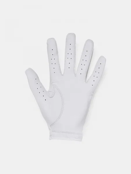 Pánske rukavice Under Armour