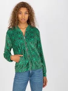 Sweatshirt-RV-BL-8185.86-green