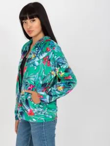 Sweatshirt-RV-BL-8120.69P-green